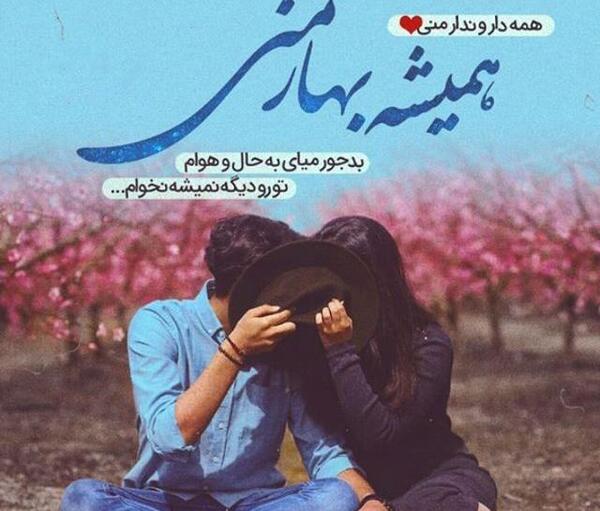 عکس استوری قدردانی از همسر