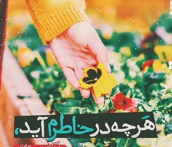 عکس استوری قدردانی از همسر