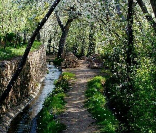 عکس طبیعت زیبا قشنگ