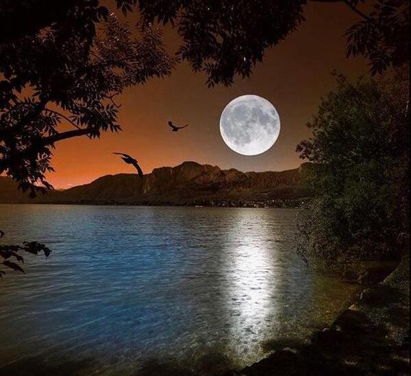 عکس طبیعت در شب مهتابی