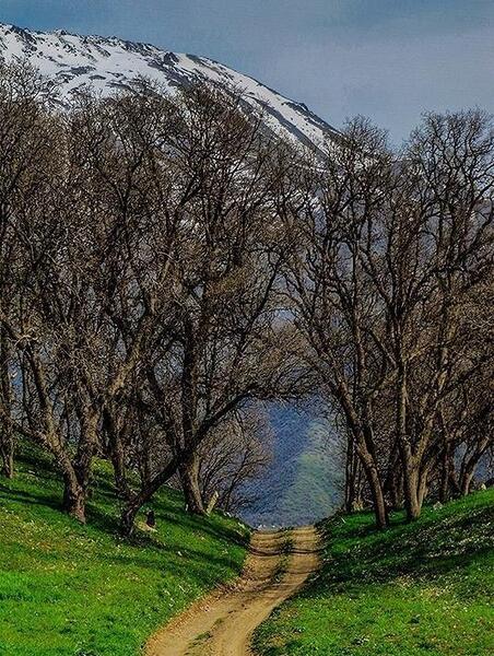 عکس طبیعت زیبای مریوان