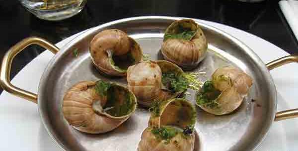 عکس غذای فرانسوی