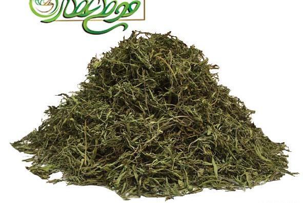 عکس مرزه خشک