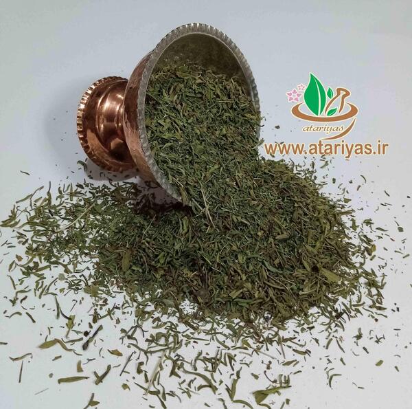 عکس مرزه خشک