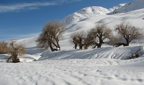 عکس طبیعت زمستانی