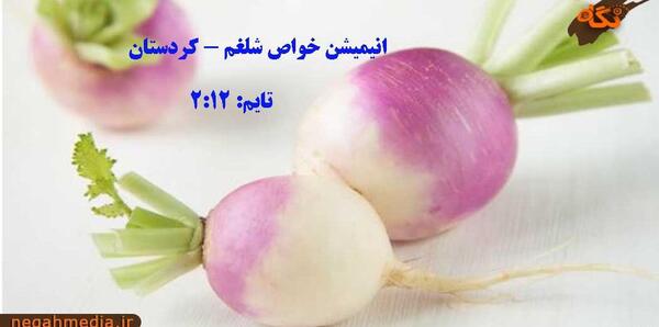 عکس انیمیشن شلغم