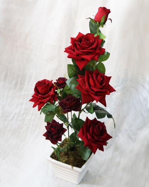 عکس دسته گل سرخ زیبا