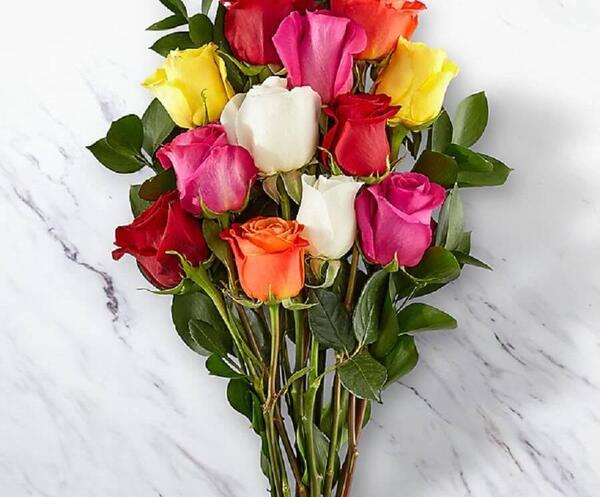 عکس گل فرانسه