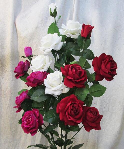 عکس گل فرانسه