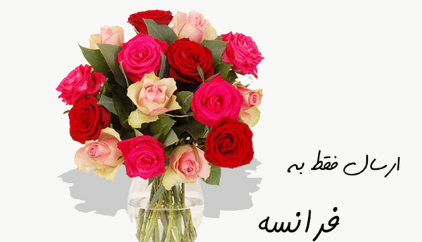 عکس گل فرانسه
