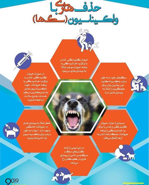 عکس ویروس هاری