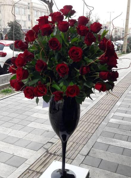 عکس گل رز در طبیعت