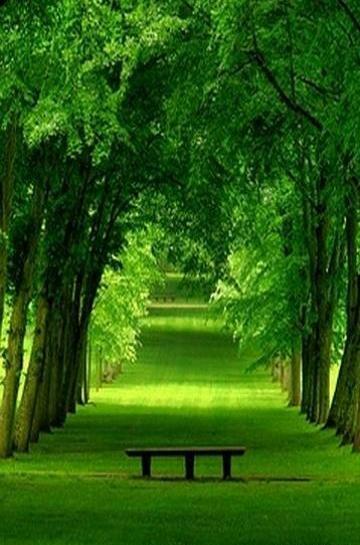عکس زمینه نوکیا