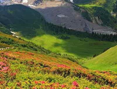 عکس هایی از طبیعت فرانسه