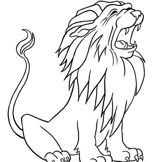 عکس شیر طراحی