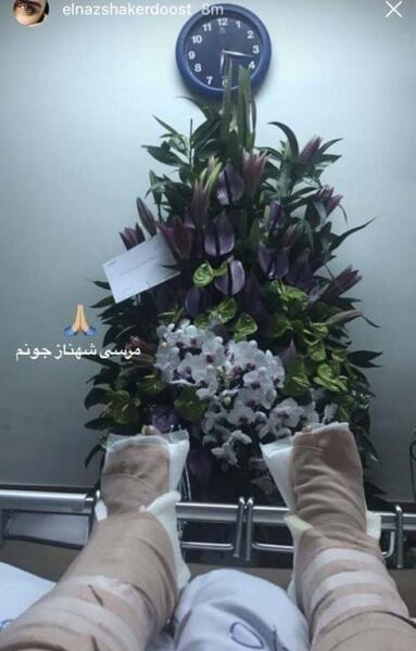 عکس ناخن پای الناز شاکردوست