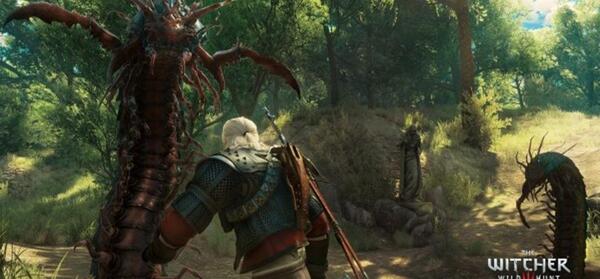 عکس بازی witcher 2