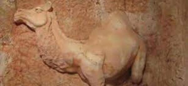 عکس شتر روی سنگ نشانه چیست