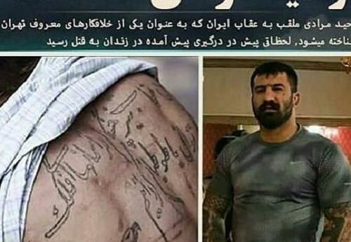 عکس وحید مرادی لات ایران