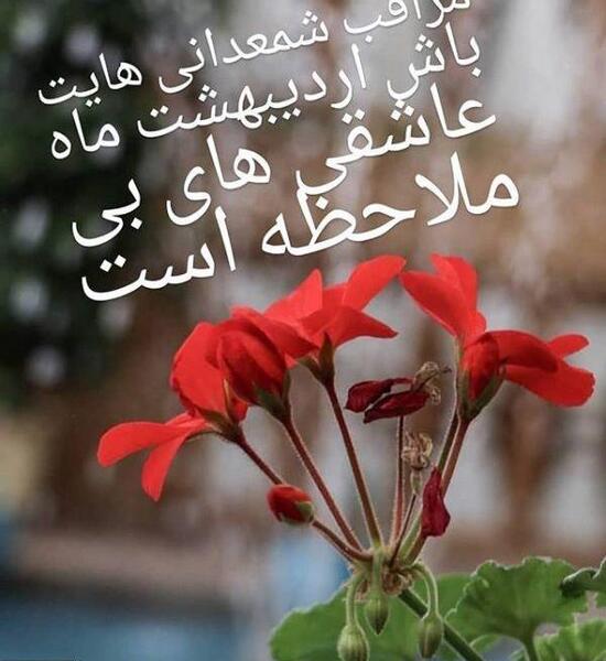 عکس گلهای زیبای اردیبهشتی