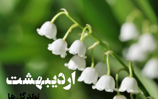 عکس گلهای زیبای اردیبهشتی