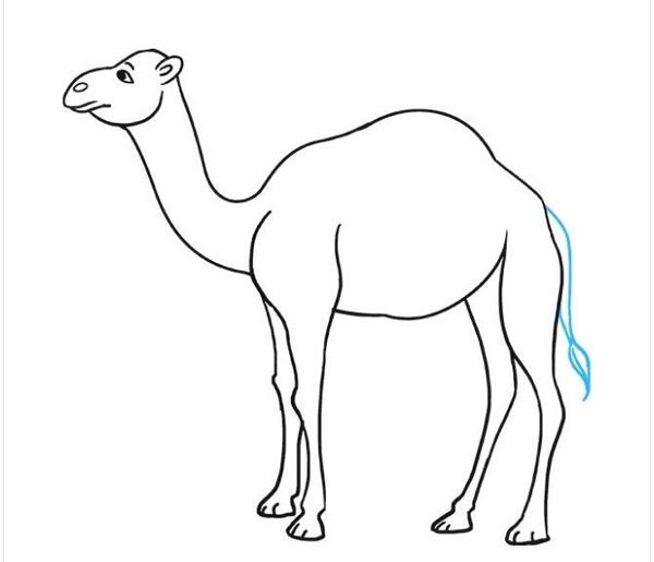 عکس نقاشی شتر