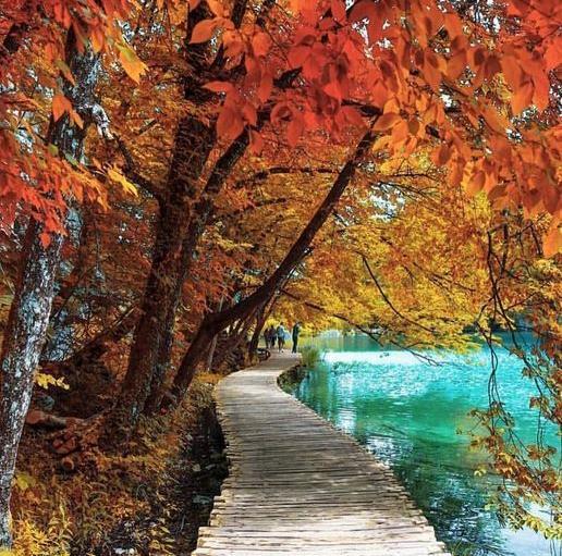 عکسهای طبیعت های رویایی