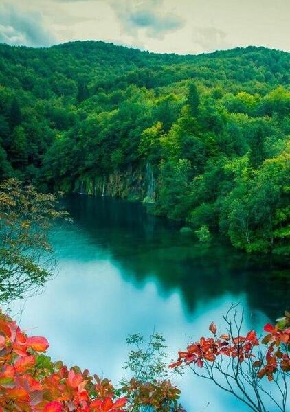 عکس زمینه طبیعت