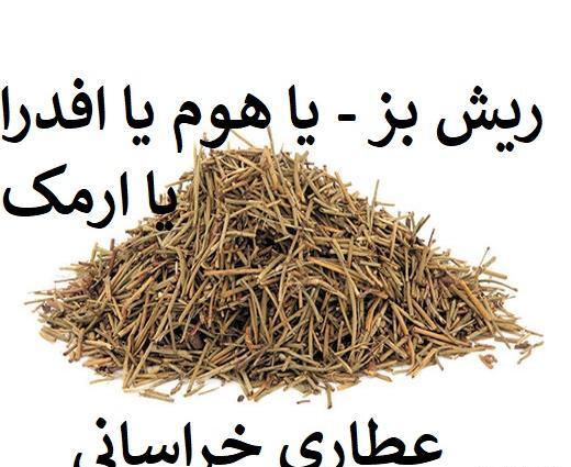 عکس گیاه ریش بزی