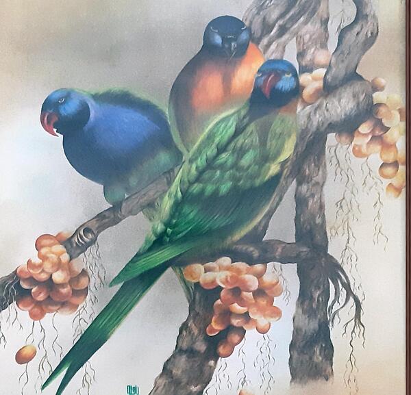 عکس نقاشی طوطی