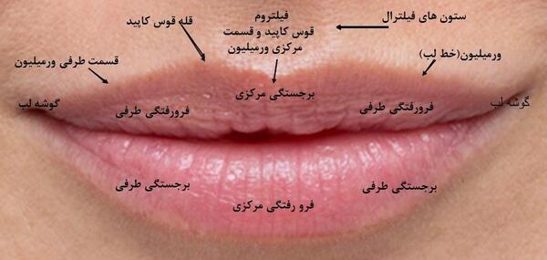 عکس لب طبیعی
