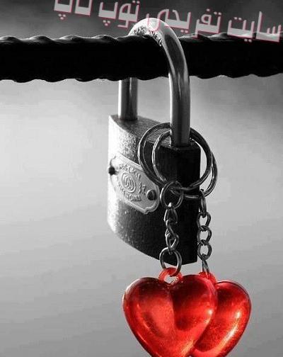 عکس دو قلب زیبا کنار هم