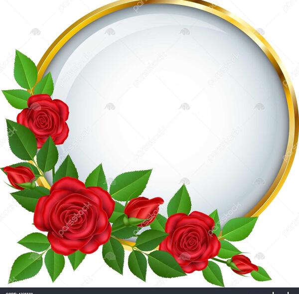 عکس گل در صفحه سفید