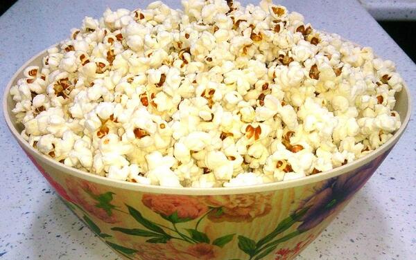 عکس های چس فیل
