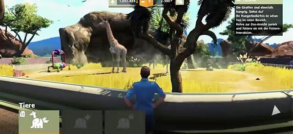 عکس بازی zoo
