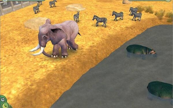 عکس بازی zoo