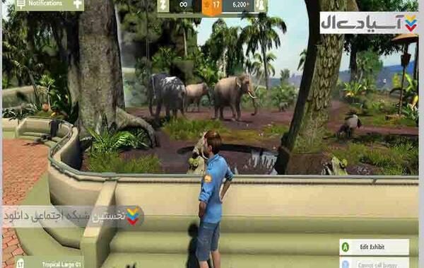 عکس بازی zoo