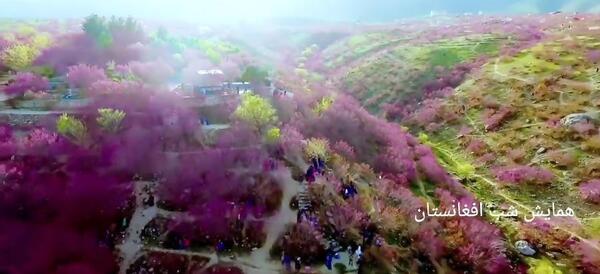 عکس های دیدنی افغانستان