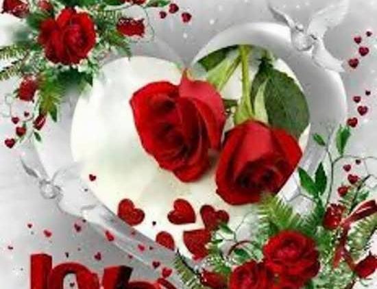 عکس های عاشقانه گل زیبا