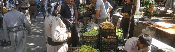 عکس شهر سردشت