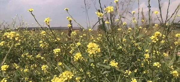 عکس روستای طالقان