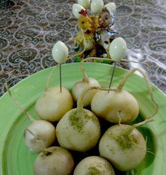 عکس سفیده شلغم