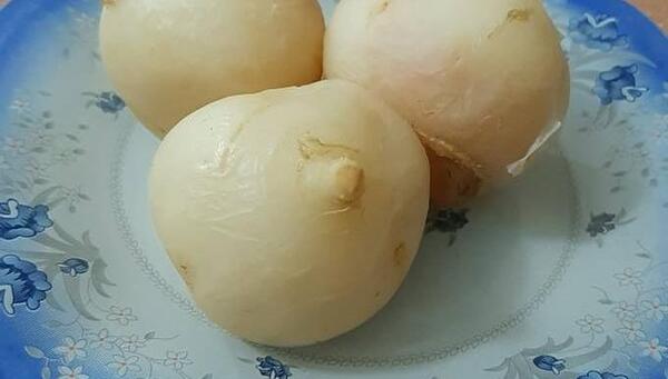 عکس سفیده شلغم