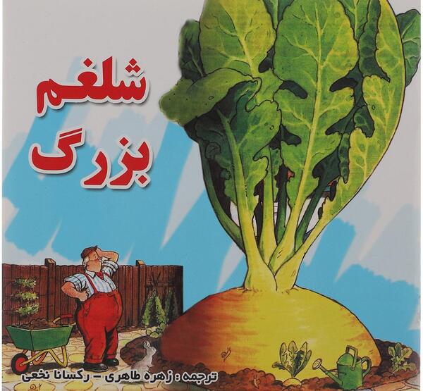 عکس سفیده شلغم