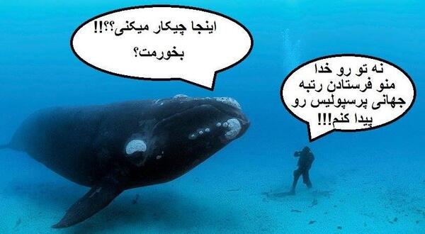 عکس ضد حال به پرسپولیس