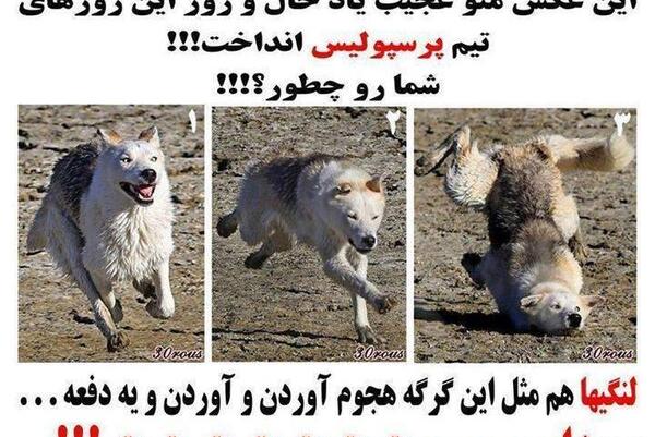 عکس ضد حال به پرسپولیس