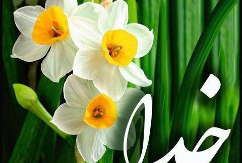 عکس زمینه خدا