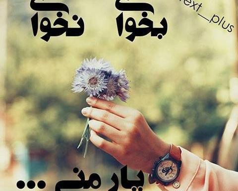 عکس خاص عاشقانه زیبا