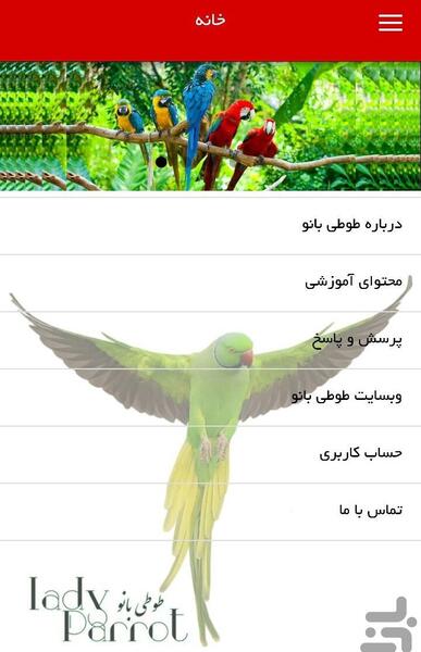 عکس طوطی فتوشاپ
