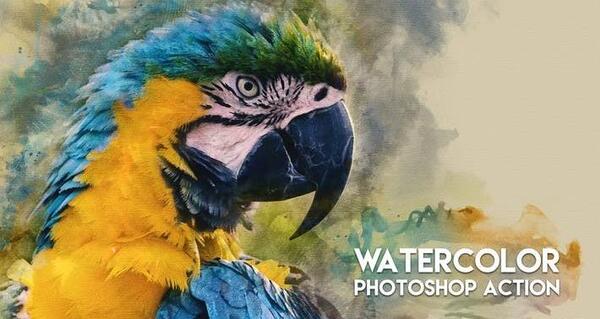 عکس طوطی فتوشاپ